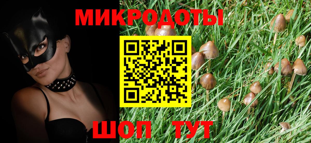 Псилоцибиновые грибы Psilocybe Кимры